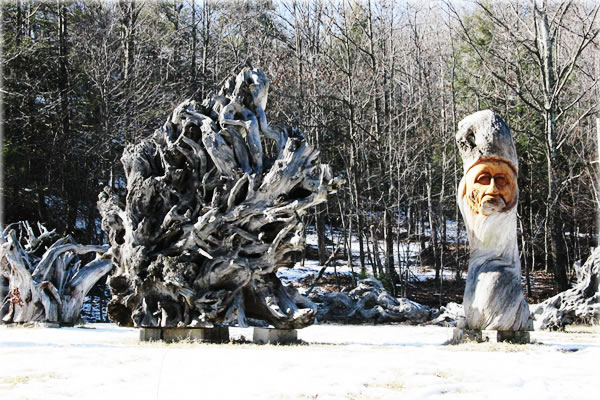 Redwood sculpture, next to a redwood tree root system, in High Falls, New York. Sculpture by JD. Photo by Eric Francis.