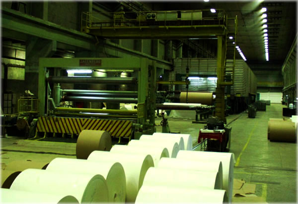 Paper Manufacturing Machine