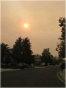 Fire In The Wind Fire In The Wind